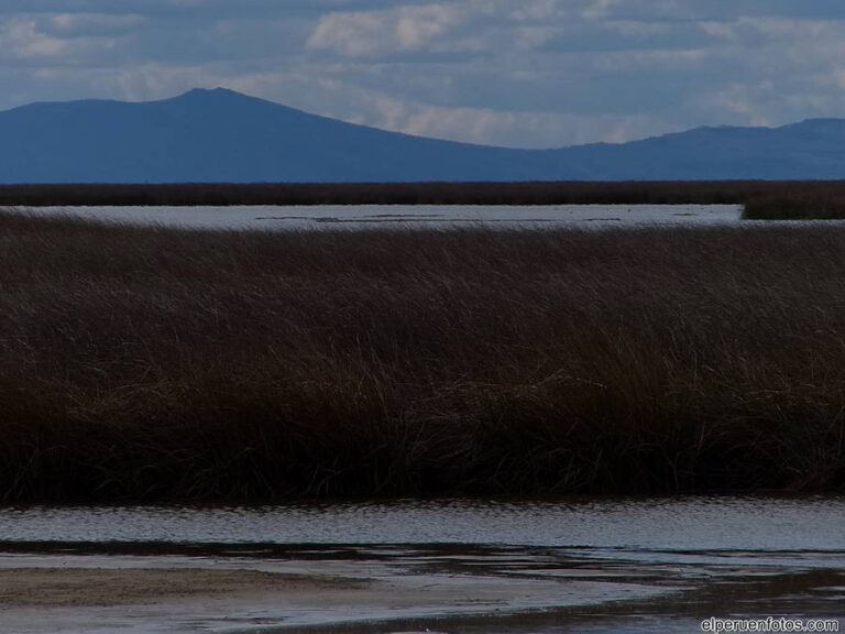 lago junin a 008